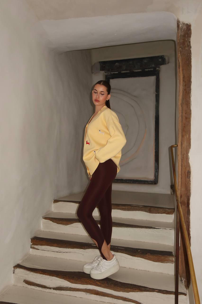 Лосини зі штрипками Brown