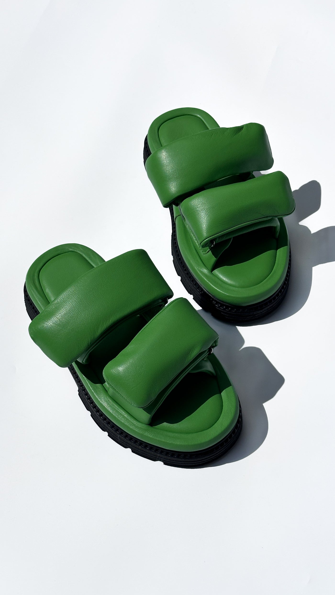 LBL Dominica Green