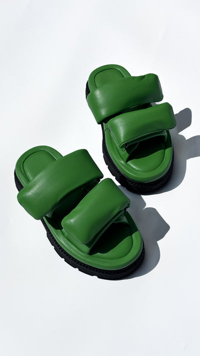 LBL Dominica Green