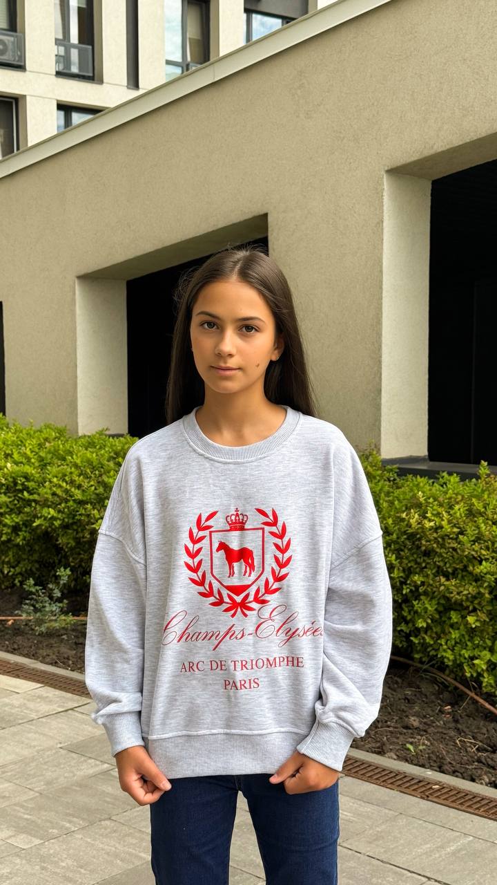 Sweatshirt SCH „Champs“ Grau/Rot