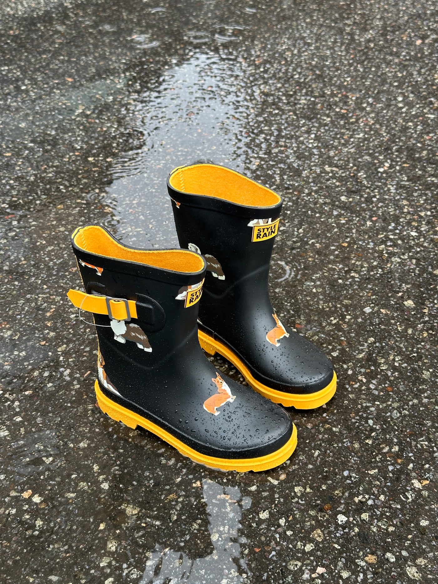 Rubber boots Black